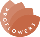 Логотип Proflowers
