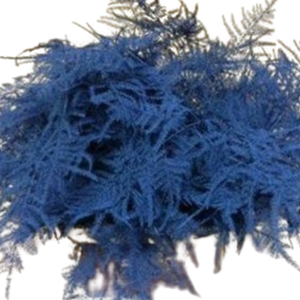 Листья Аспарагус краш. плюмозус лонг синий