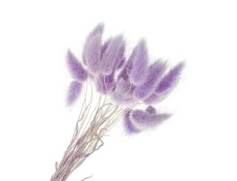 Сухоцветы "Лагурус", H60 см, набор (60 шт) Фиолетовый