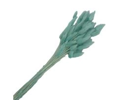 Сухоцветы "Лагурус", H60 см, набор (60 шт) Голубой