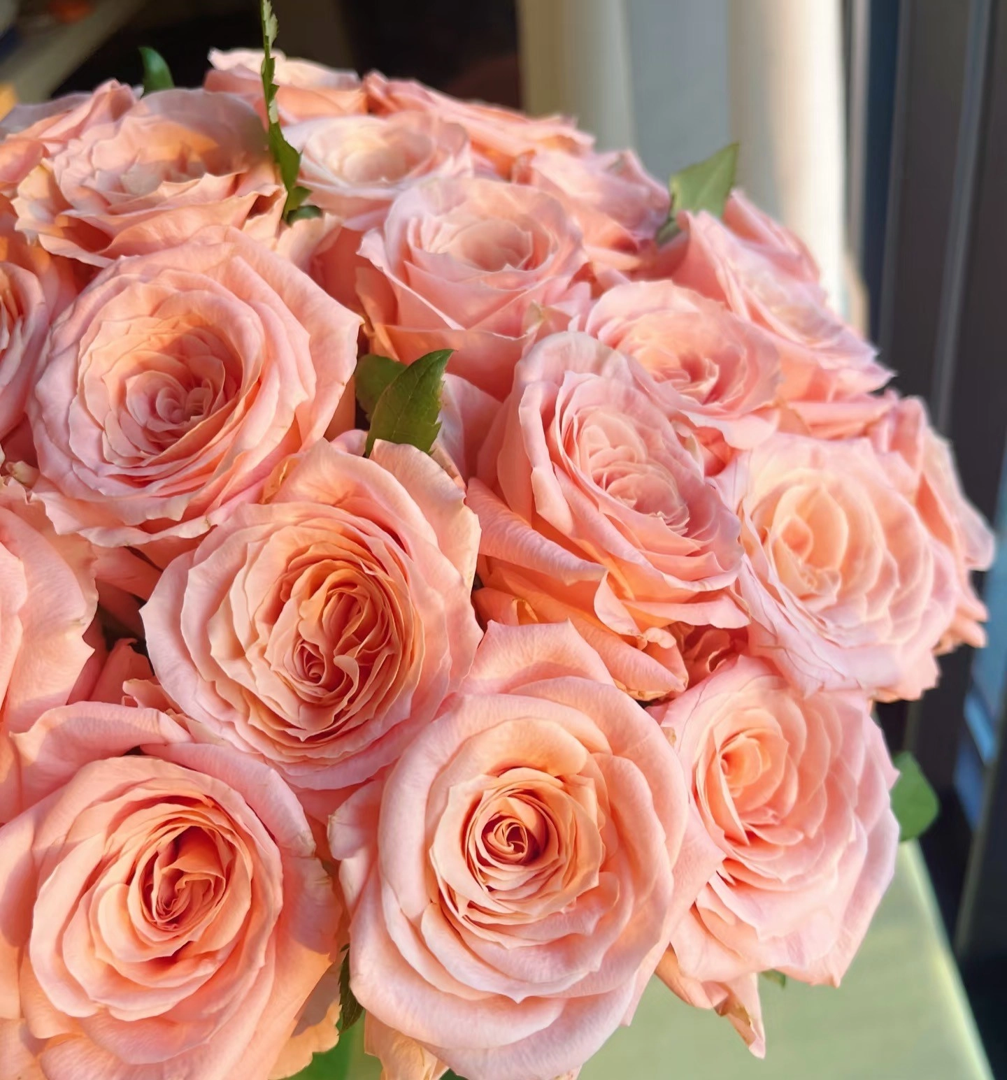 Роза однг микро лайт