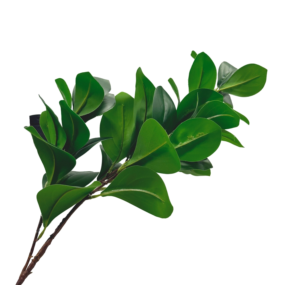 Растение искусственное "Фикус Мокламе", H70 см Зеленый