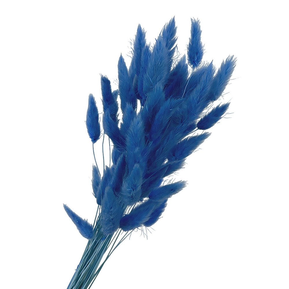 Сухоцветы "Лагурус", H60 см, набор (60 шт) Синий