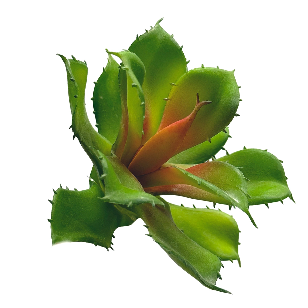 Растение искусственное "Суккулент", H11 см Зеленый