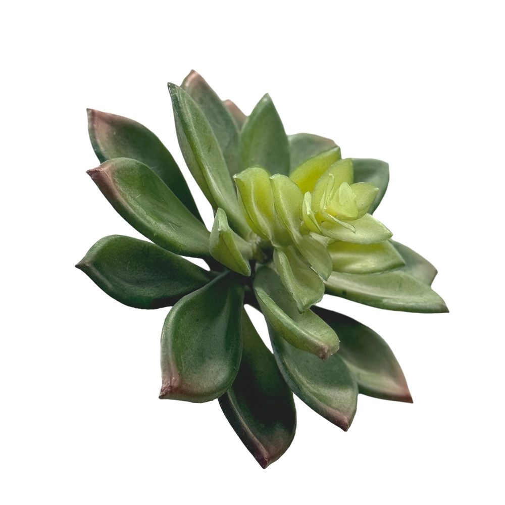 Растение искусственное "Суккулент", H15 см Зеленый