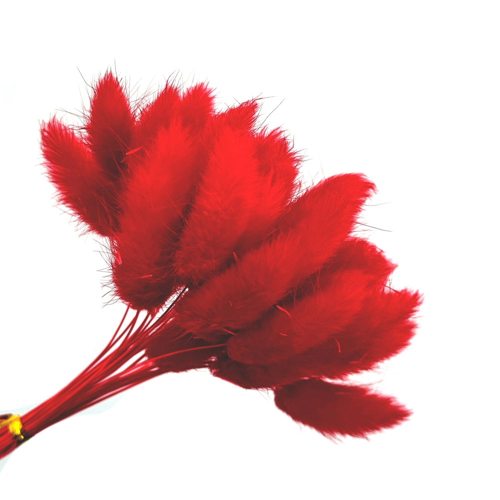 Сухоцветы "Лагурус", H50-55 см, набор (30 шт) Красный