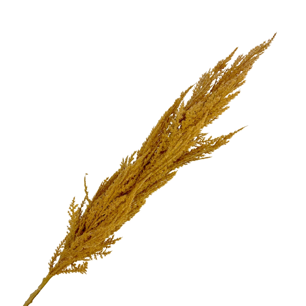 Ветка искусственная "Кортадерия", Н117 см Коричневый