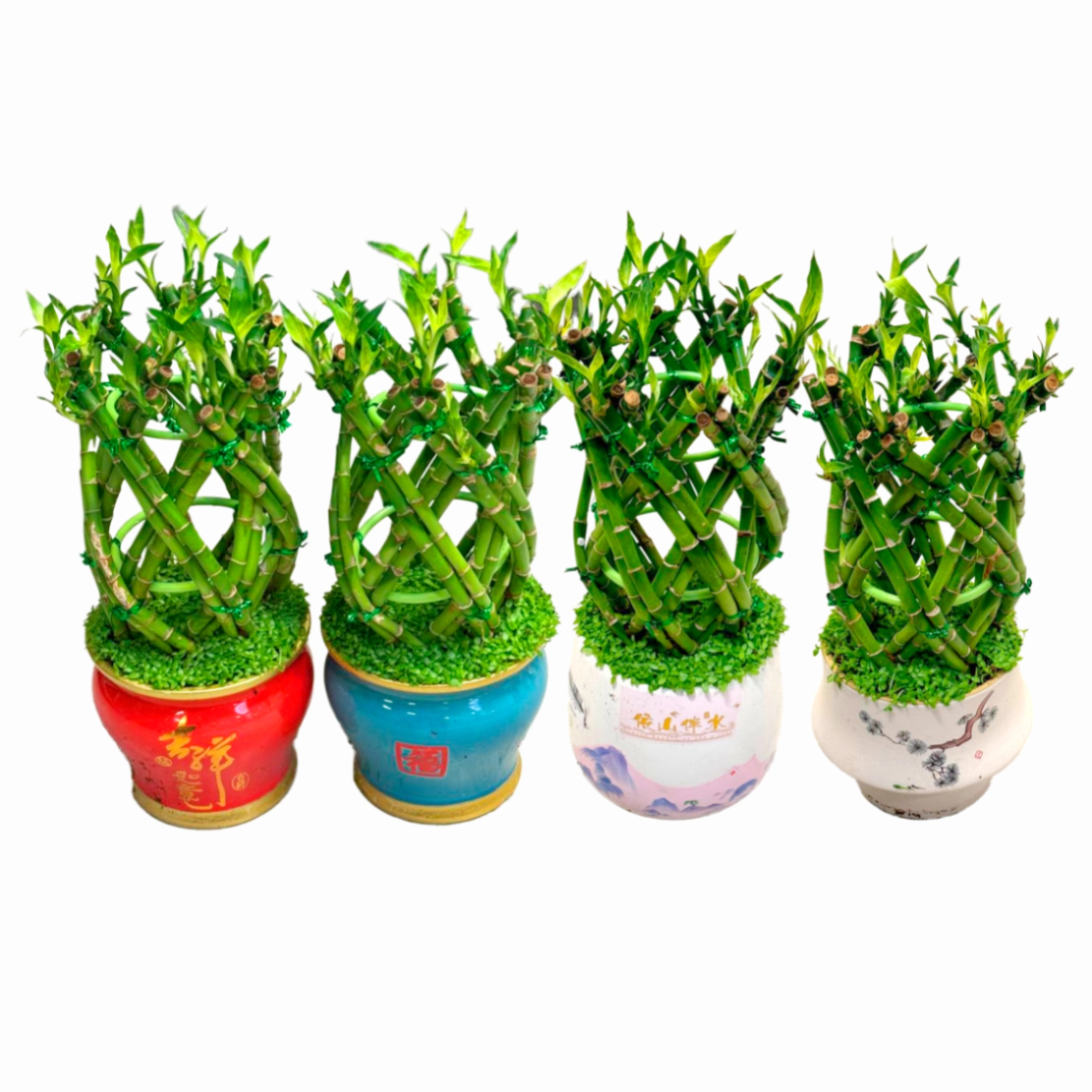 Бамбук Лаки в китайской керамике