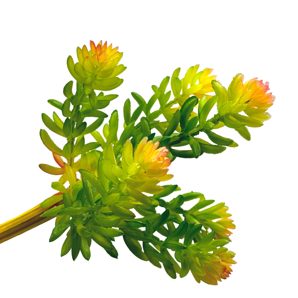 Растение искусственное "Суккулент", H14,5 см Зеленый