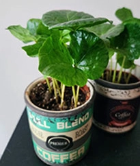 Композиции