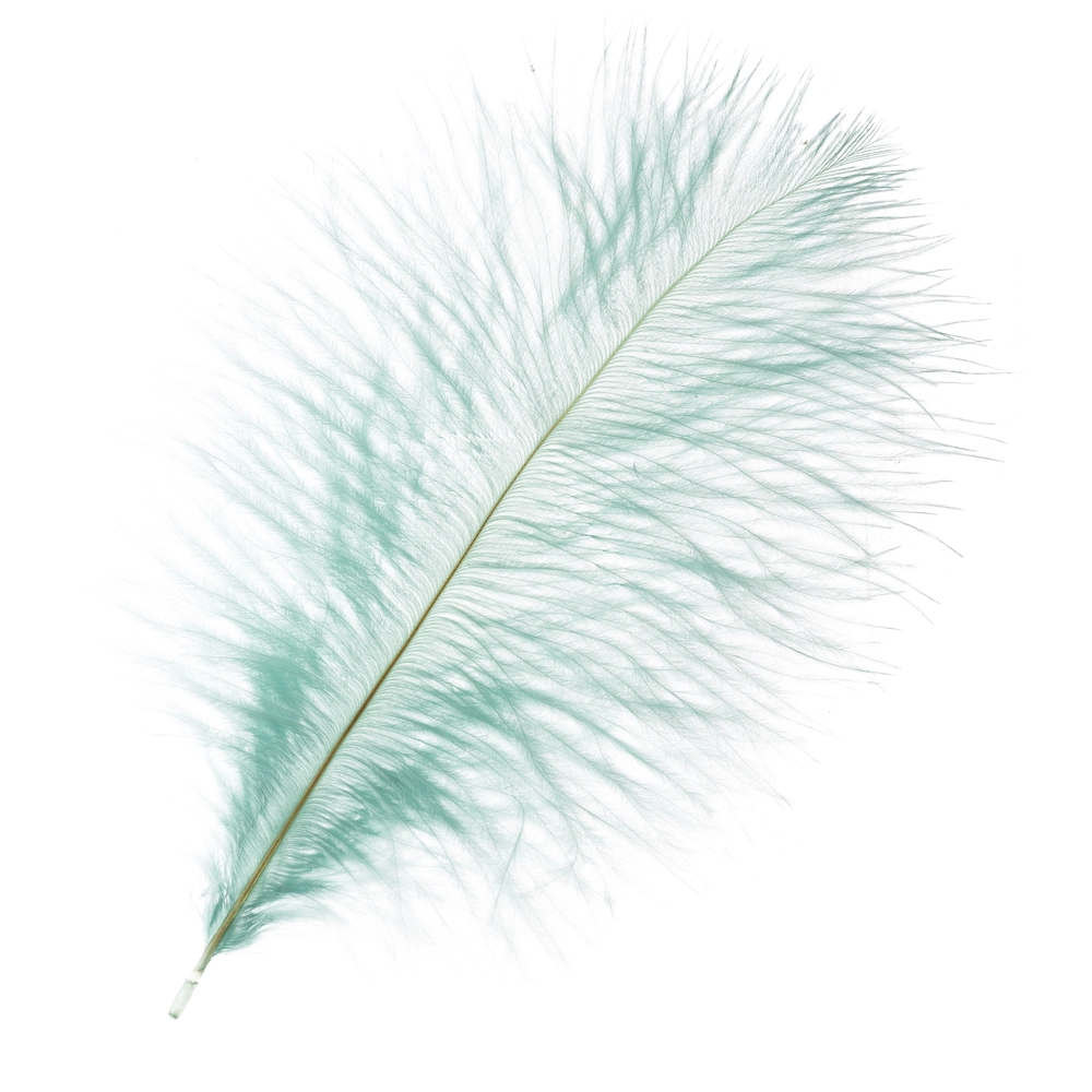 Перья страуса (перо), 20-25 см, набор (5 шт) Бирюзовый
