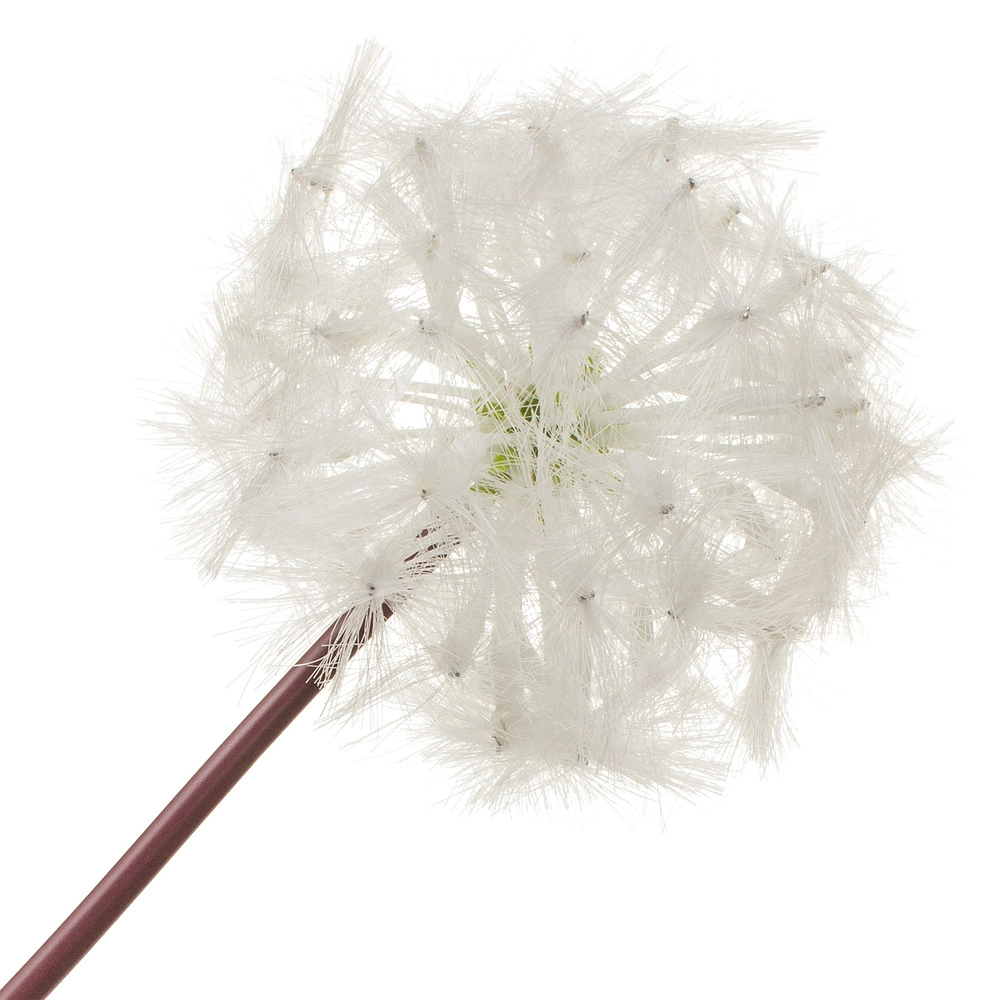 Цветок искусственный "Одуванчик", H64 см Белый