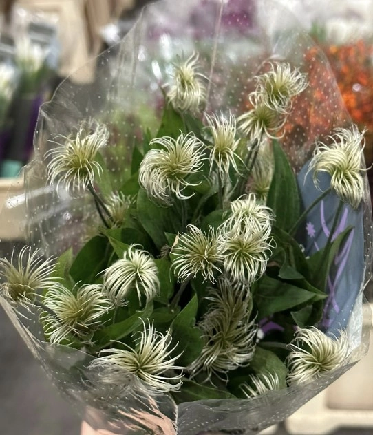 Клематис эмейзинг рим