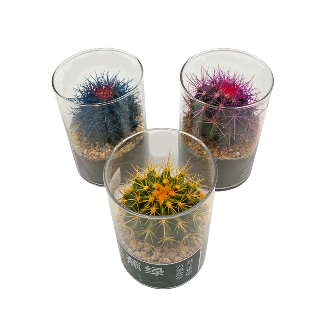 Эхинокактус Грузони (композиция) краш. микс в стекле