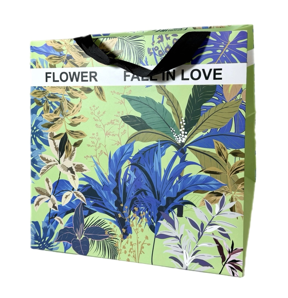 Сумка подарочная (картон), 28x28xH30 см, набор (2 шт) Зеленый