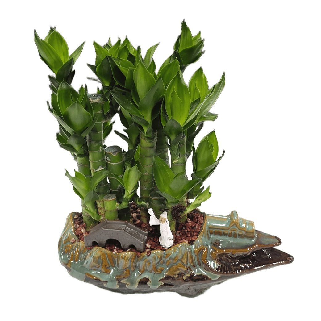 Бамбук лаки прямой в керамике