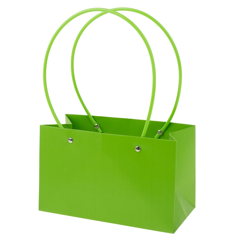 Сумка подарочная (картон), 22x10,5xH13,5 см, набор (10 шт), с ламинацией Темно-зеленый