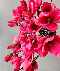 Искусственные растения