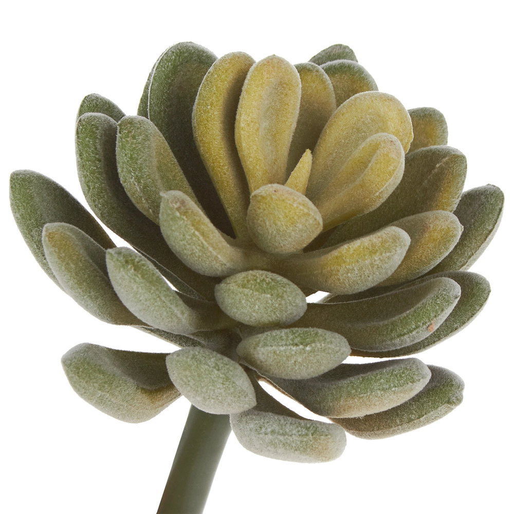 Растение искусственное "Суккулент Седум Эллис", 7xH11 см Зеленый