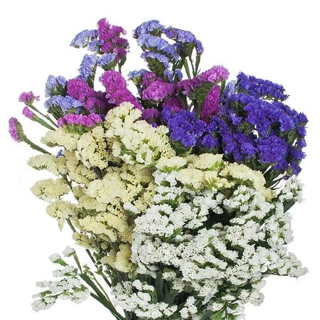 Статица микс