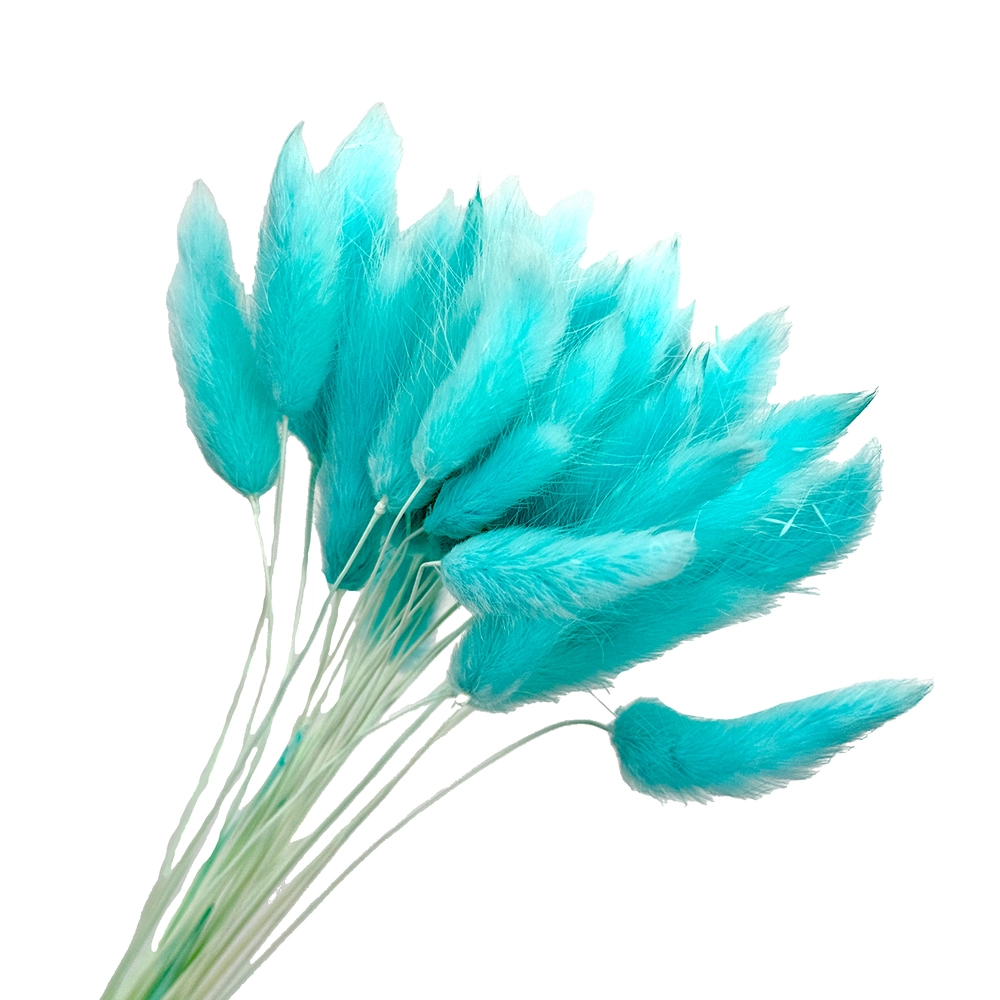 Сухоцветы "Лагурус", H50-60 см, набор (30 шт) Светло-голубой