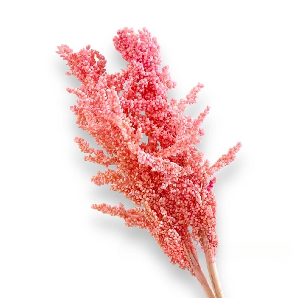Сухоцветы "Сорго", H60 см, набор (2-3 шт) Розовый