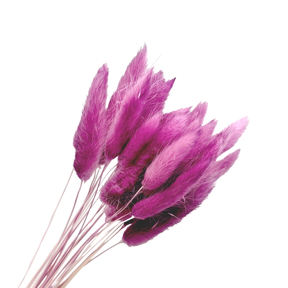 Сухоцветы "Лагурус", H50-60 см, набор (30 шт) Фиолетовый