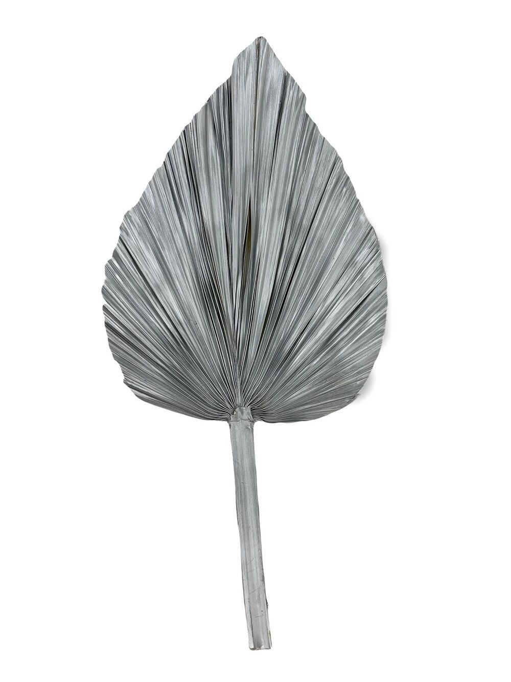 Сухоцветы "Пальмовый лист", H60 см Серебряный
