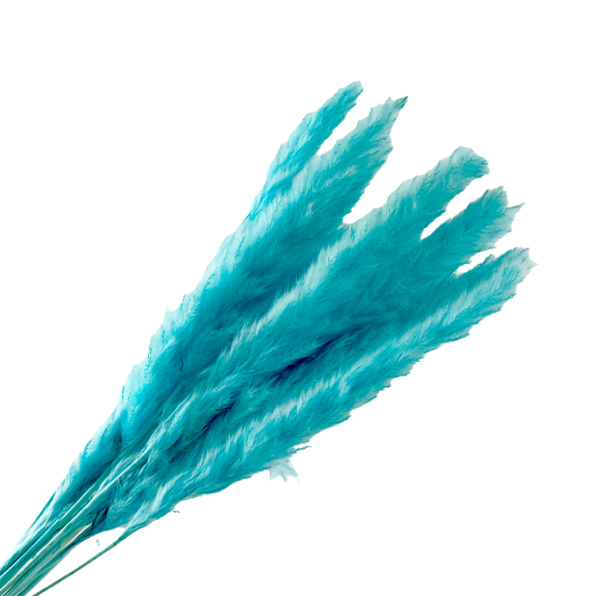 Трава пампасная, H55 см, набор (10 шт) Голубой