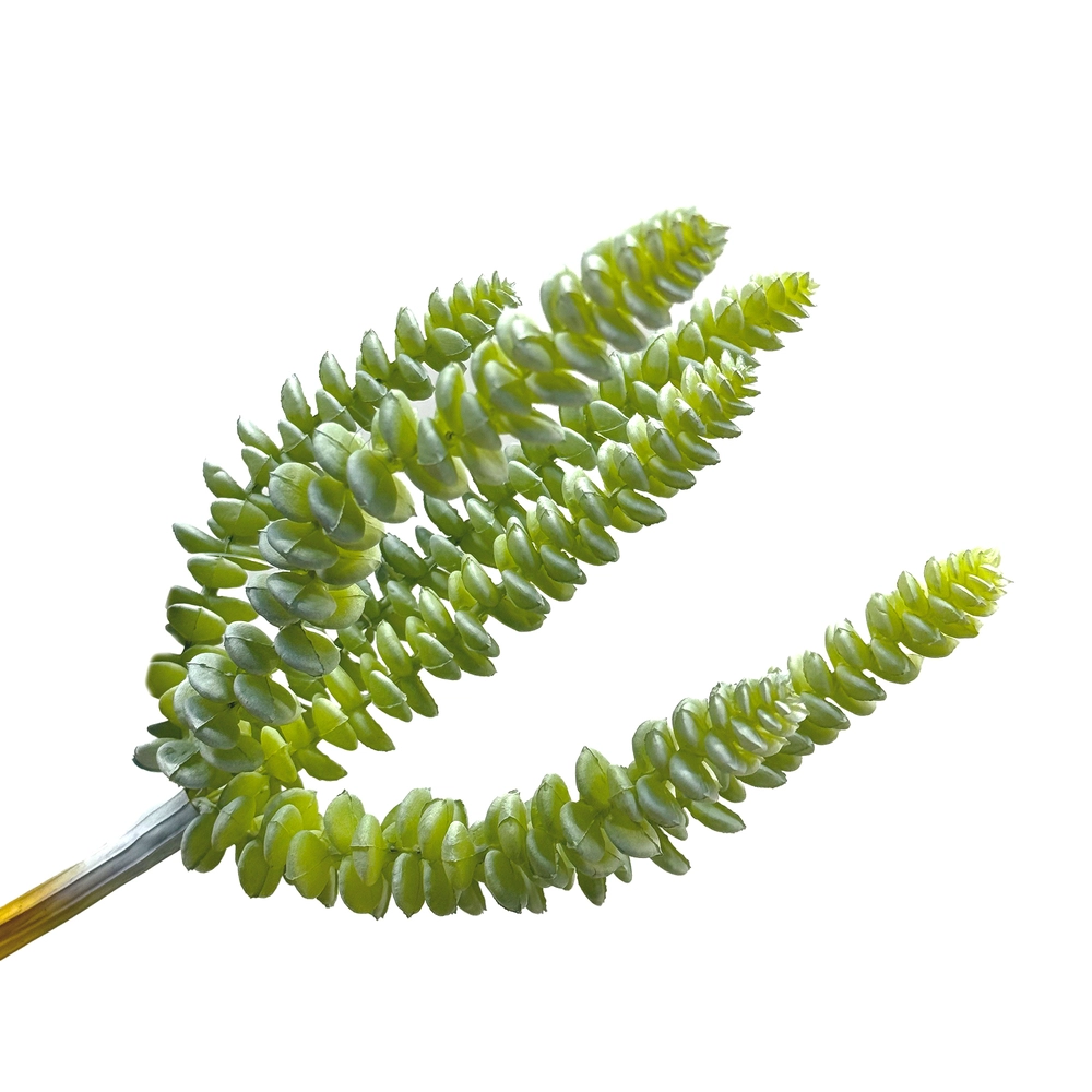 Растение искусственное "Суккулент", H23 см Зеленый