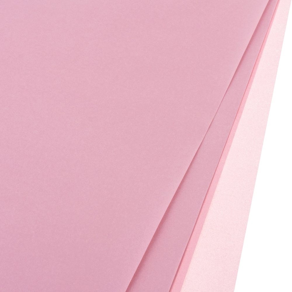 Бумага тишью, 50x70 cм, набор (10 шт) Сливовый