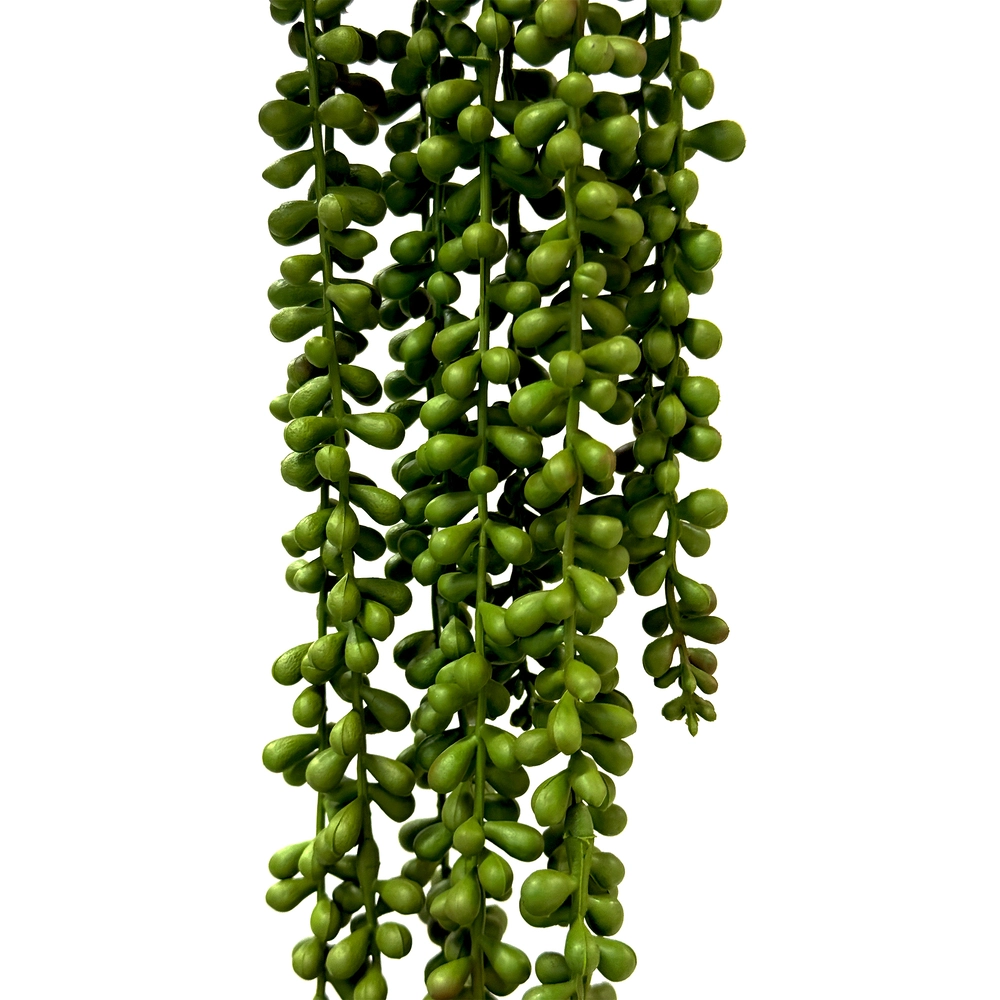 Растение искусственное ампельное "Крестовник Роули", H55 см Зеленый