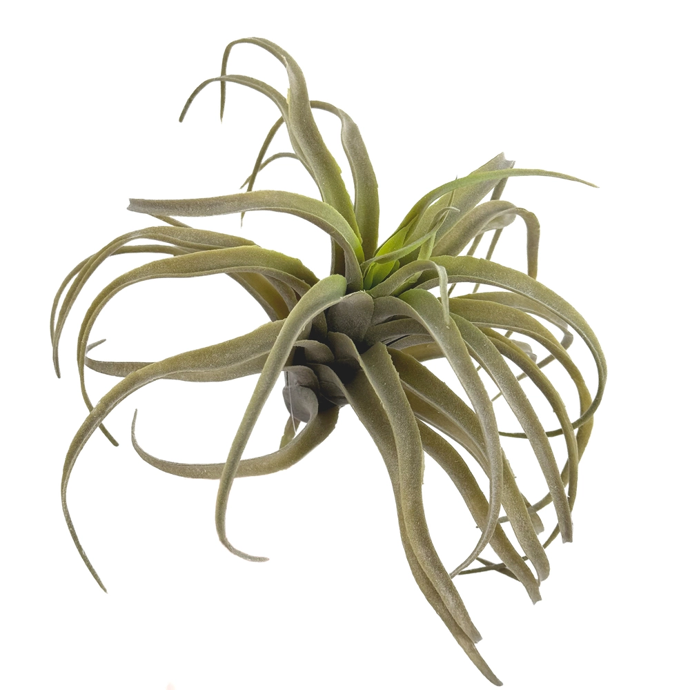 Растение искусственное "Тилландсия", H18 см Зеленый