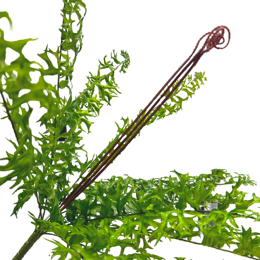 Растение искусственное "Папоротник", H66 см Зеленый