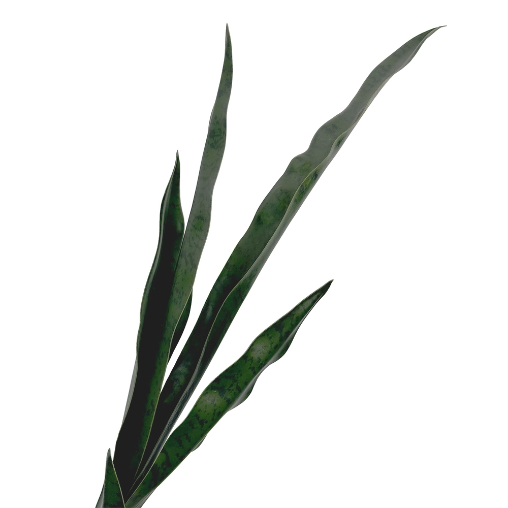 Растение искусственное "Сансевиерия", H70 см Зеленый