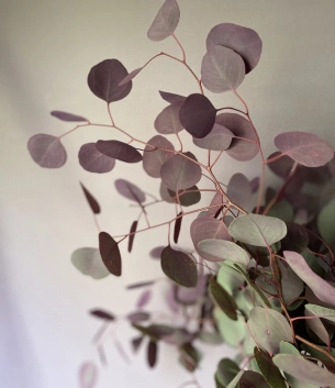 Цветы в Казахстане от компании PROFLOWERS