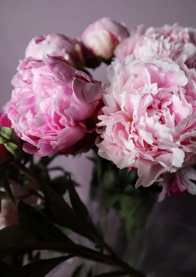 Постоянное пополнение цветочного ассортимента