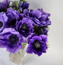 Десятки тысяч наименований