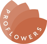 Логотип Proflowers