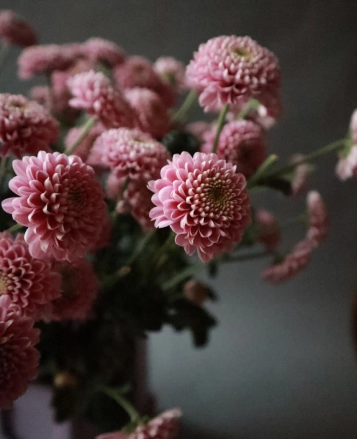 Зарегистрируйтесь на PROFLOWERS для работы